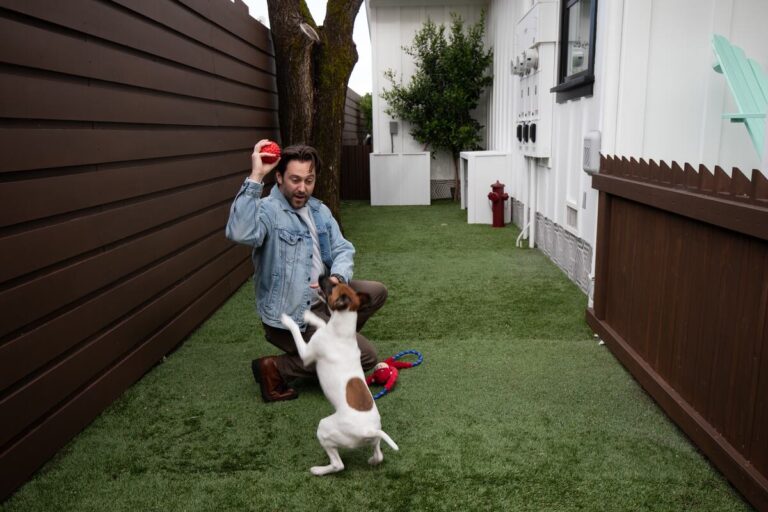 Dog-Friendly Adventures in Calistoga: The Ultimate Pet-Friendly Getaway